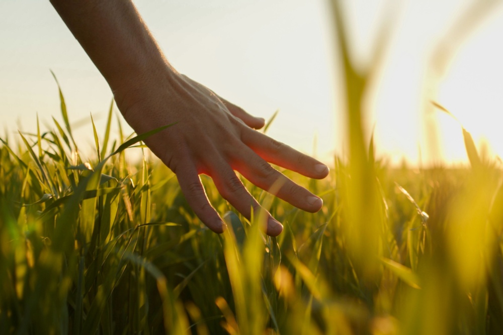 Someone touching grass.